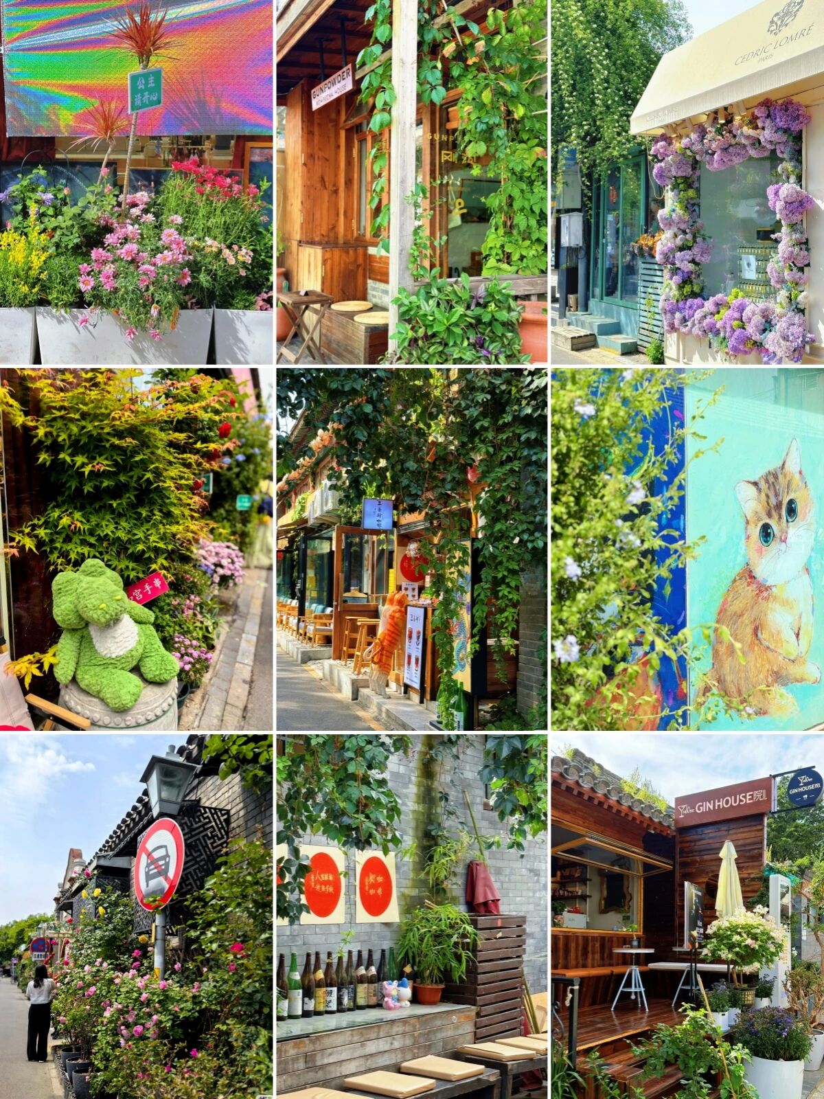 北京散步新搭子 Color Walk路线拿走不谢