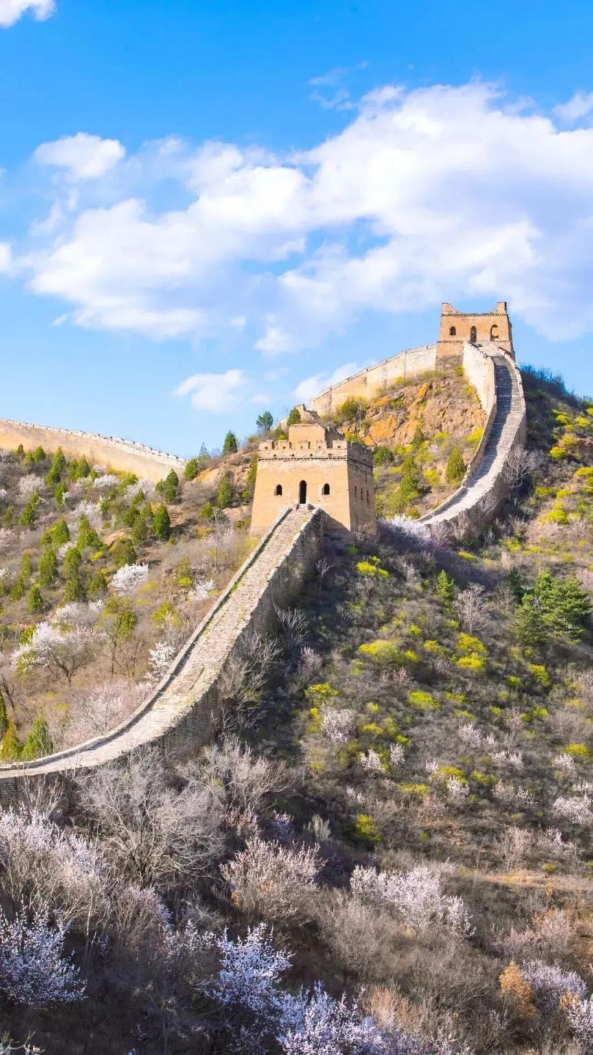 长城花海上线！北京六段长城春日赏花全攻略来了