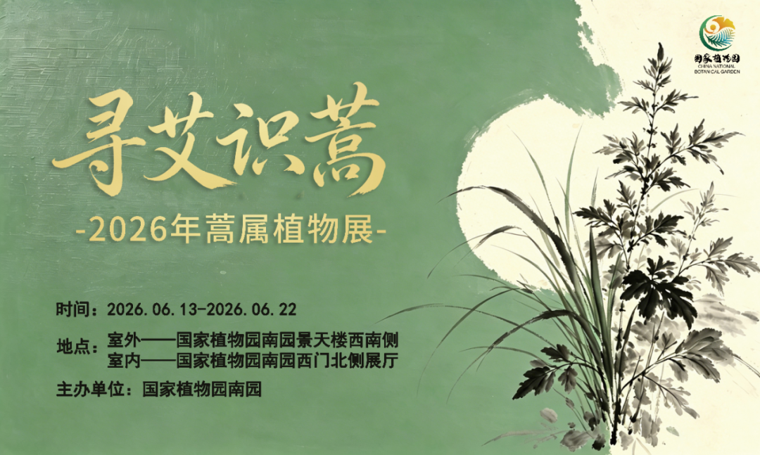 当毕业季遇上端午节!“北京大视听”端午特色出游路线来啦 当毕业季遇上端午节!“北京大视听”端午特色出游路线来啦