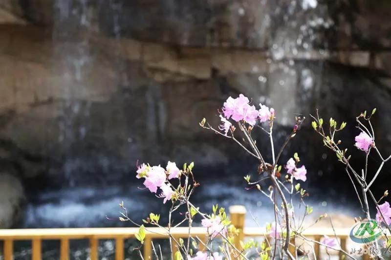 这个六月，来北京最北，一起体验22°夏天