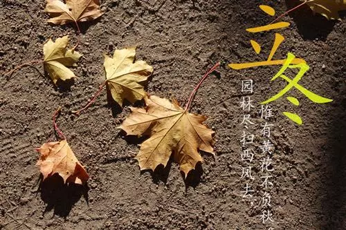 香山话立冬