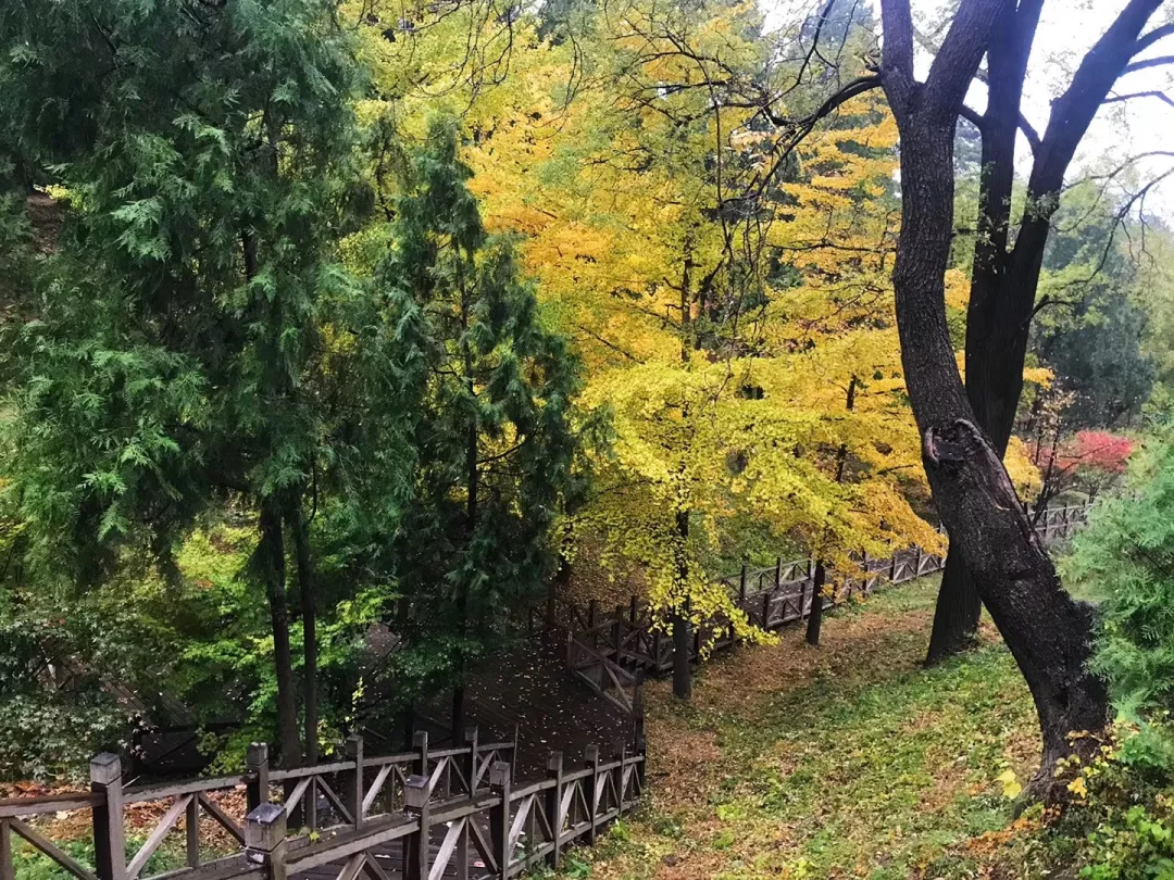 香山话立冬