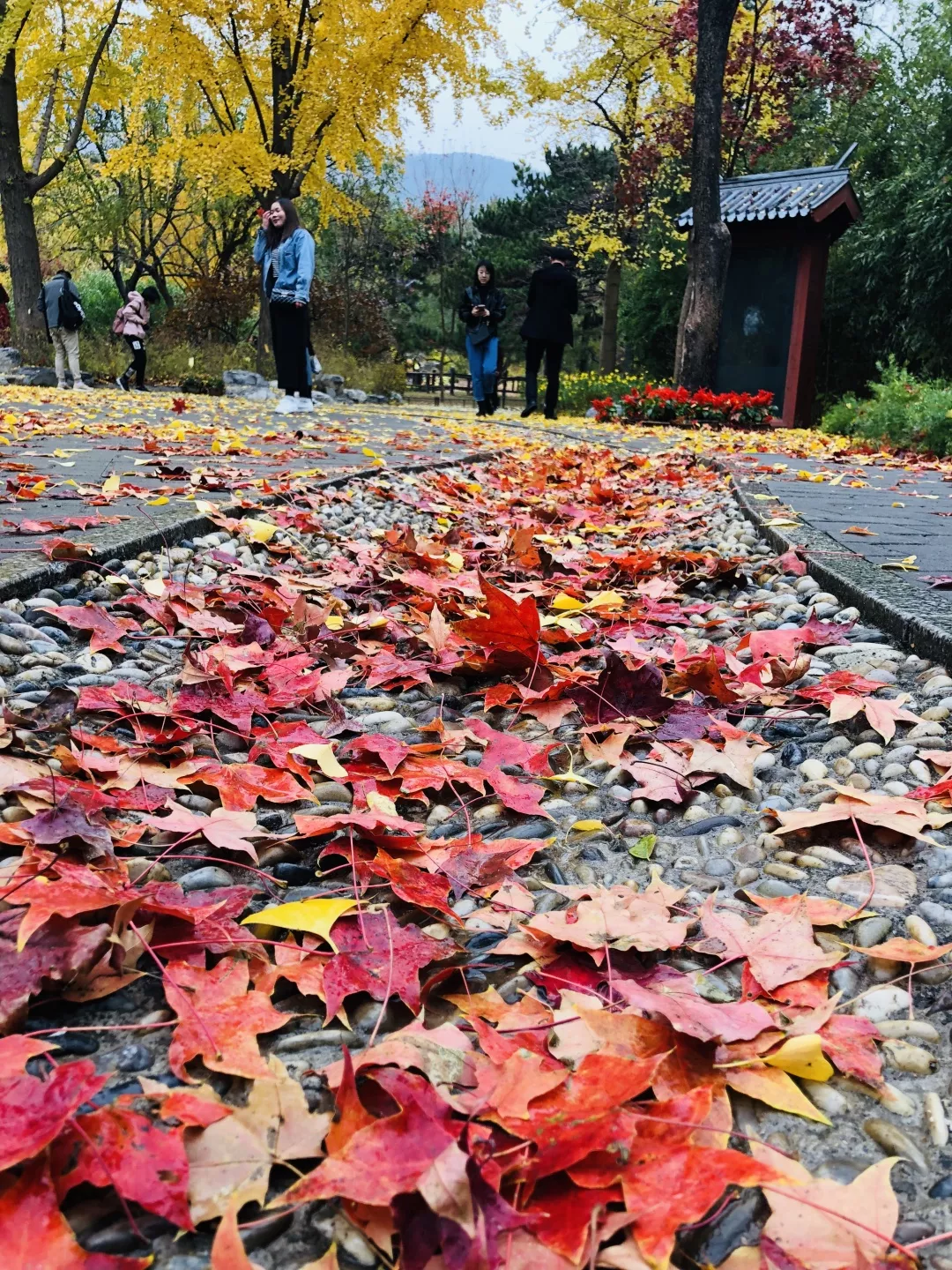 香山话立冬