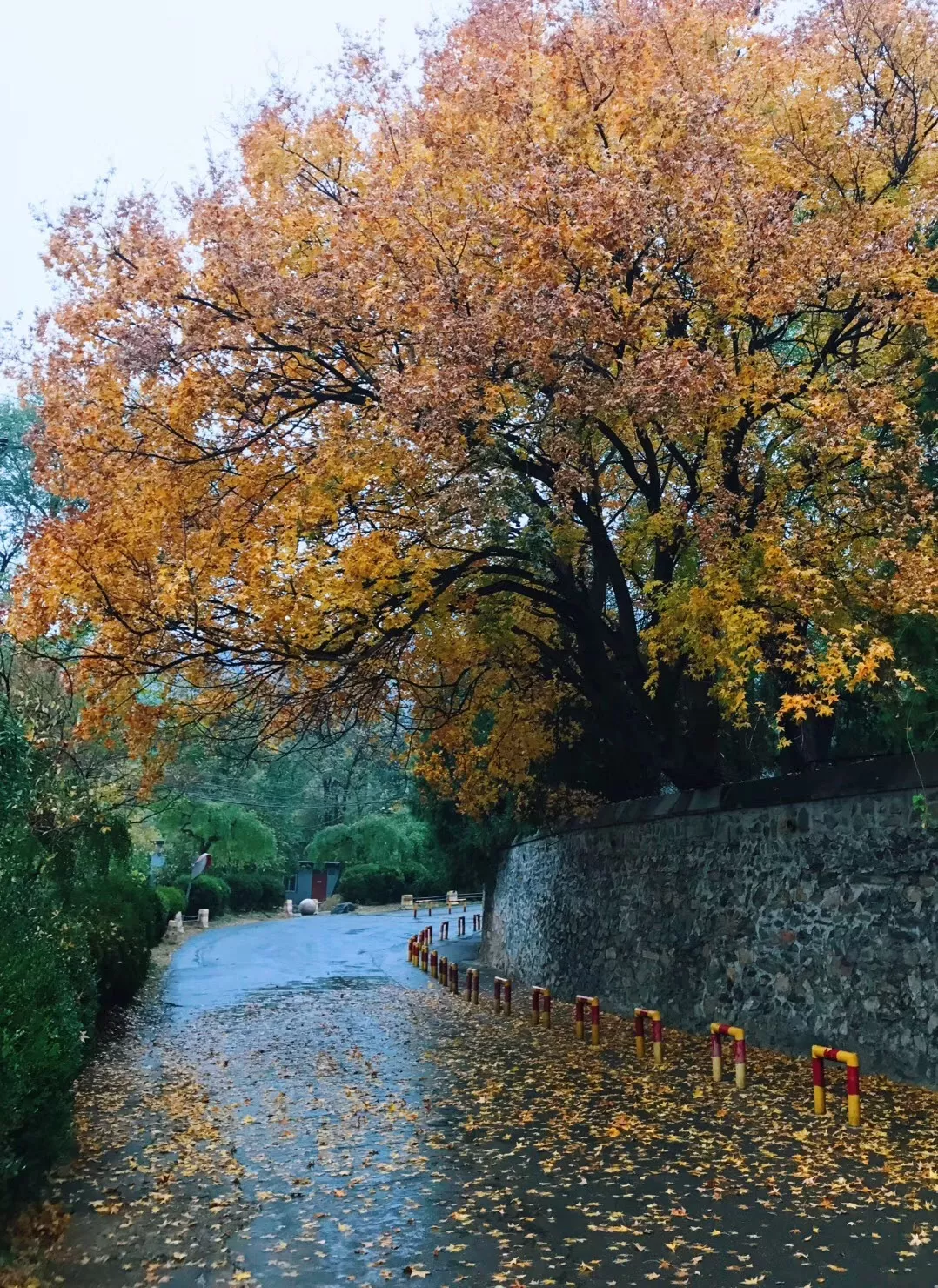 香山话立冬