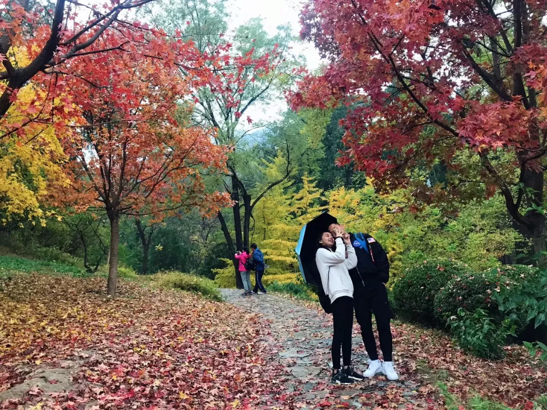香山话立冬