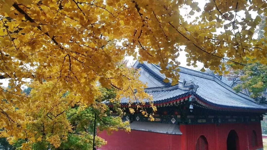 香山话立冬