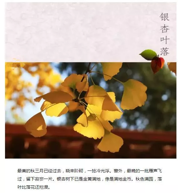 香山话立冬