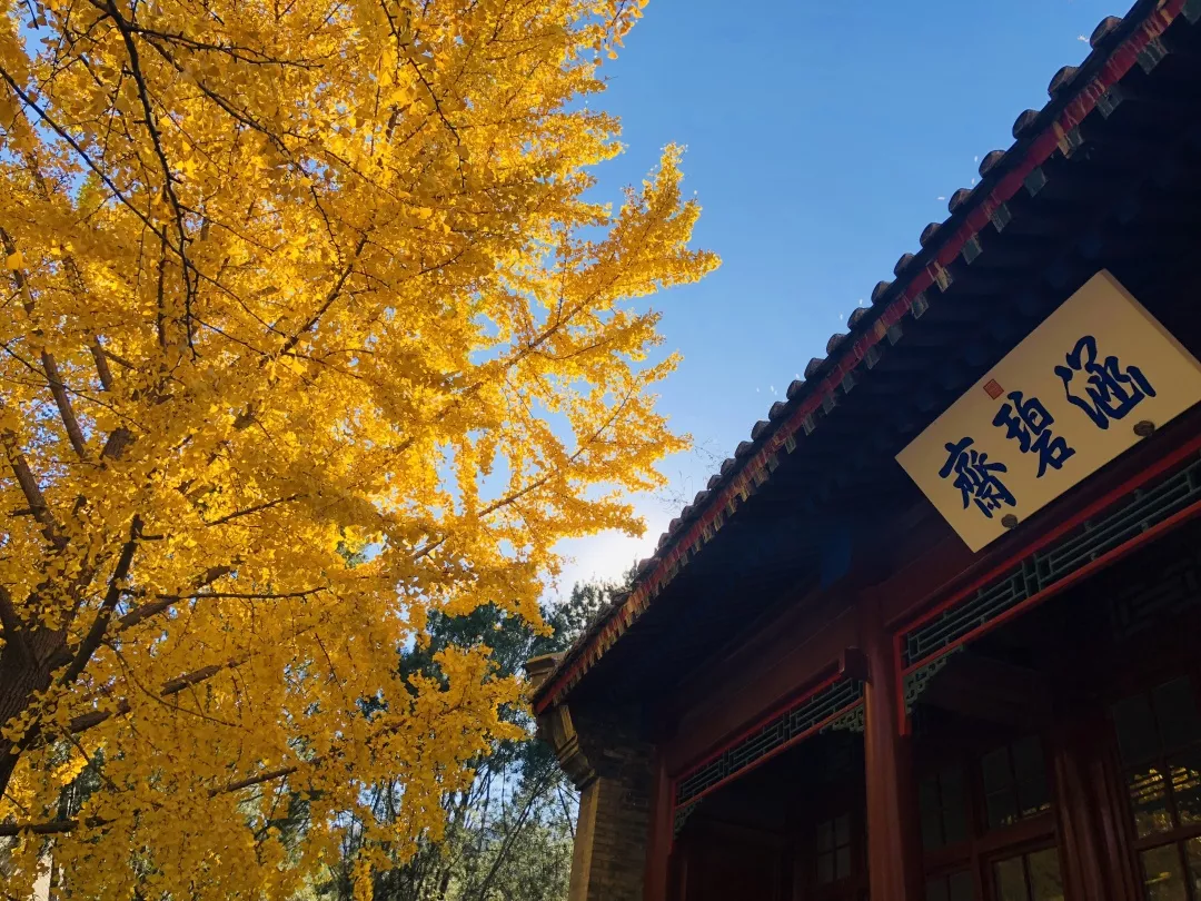 香山话立冬