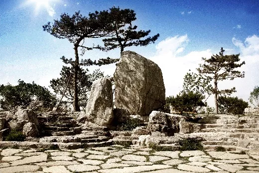 北京奥林匹克森林公园建园十周年纪念会隆重举行