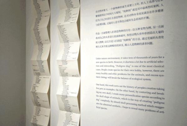 N+743——中央美院四大展区全面呈现研究生毕业展