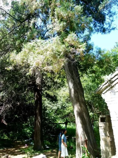 这个京郊的冷门景区，山雄水秀，林荫溪美，让人感觉恍若世外！