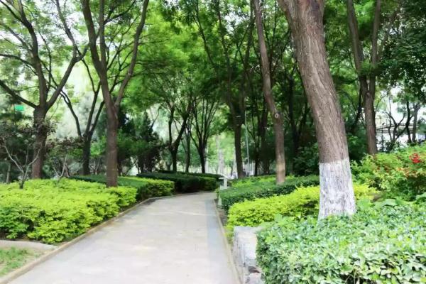 这个绿柳成荫、凉爽宜人的免费公园美得很特别~！