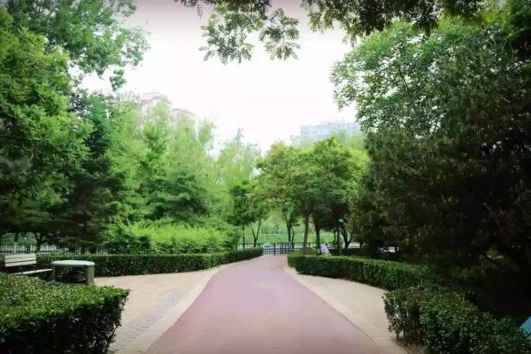 这个绿柳成荫、凉爽宜人的免费公园美得很特别~！
