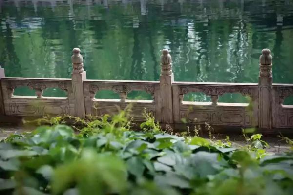 这个绿柳成荫、凉爽宜人的免费公园美得很特别~！