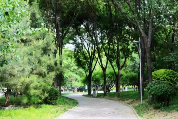 这个绿柳成荫、凉爽宜人的免费公园美得很特别~！