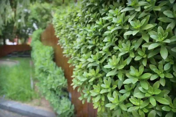 这个绿柳成荫、凉爽宜人的免费公园美得很特别~！