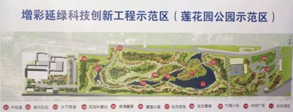 速来打卡！家门口的免费公园，11个景点全开放，随手拍都是大片效果！