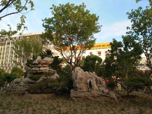 速来打卡！家门口的免费公园，11个景点全开放，随手拍都是大片效果！