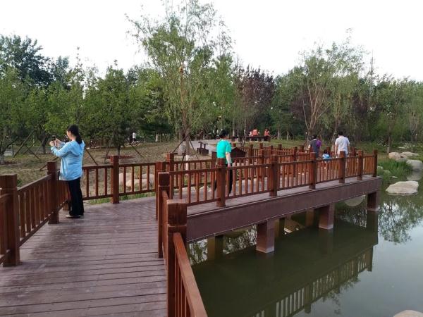 速来打卡！家门口的免费公园，11个景点全开放，随手拍都是大片效果！