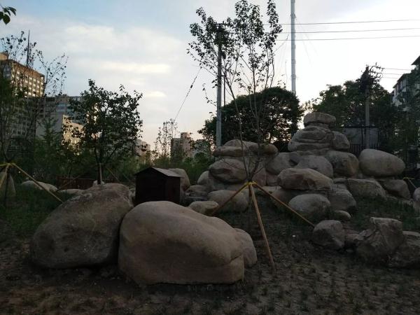 速来打卡！家门口的免费公园，11个景点全开放，随手拍都是大片效果！
