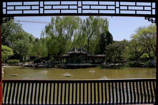 三大主题十四项文化活动，端午乐游园