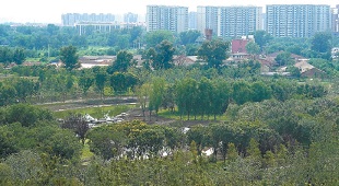 南苑森林湿地公园“造山”完成 南苑森林湿地公园“造山”完成