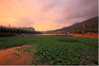 清水河同一地点今昔对比，河道治理成效明显