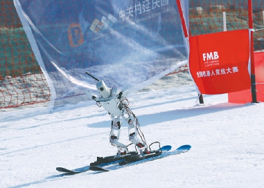 首届全国机器人冰雪大赛举行