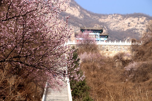 千灵山公园.jpg