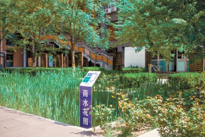 北京交通大学电气楼和逸夫楼夹角处的“雨水花园”。