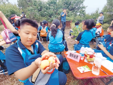 海淀小学生百年杏树下传承农业文化