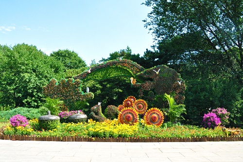 北京植物园 万物生趣.jpg