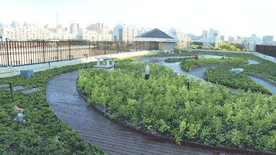 大兴3所学校将添“空中花园”.png