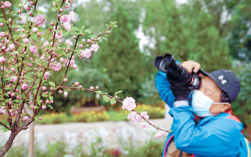 300余种新优花卉装饰金秋