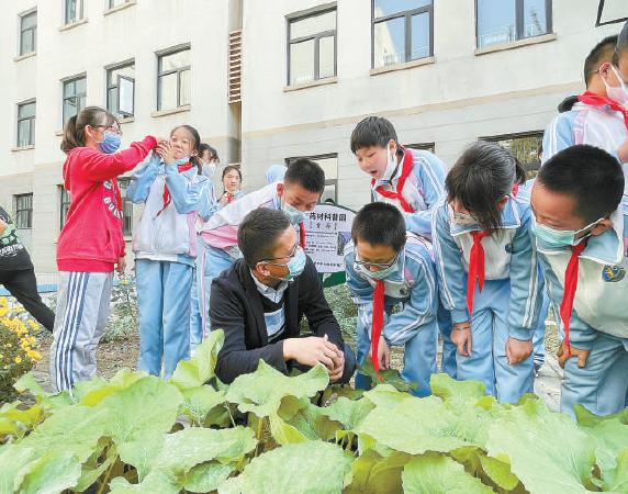 孩子们在专家的指导下，学习中草药知识。（孙云柯 摄）