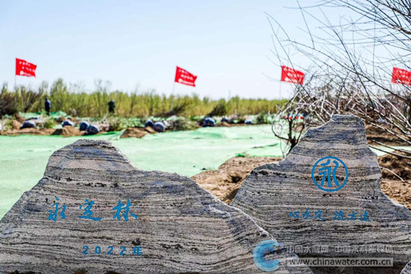 “永定林”纪念碑石将见证新植苗木成长