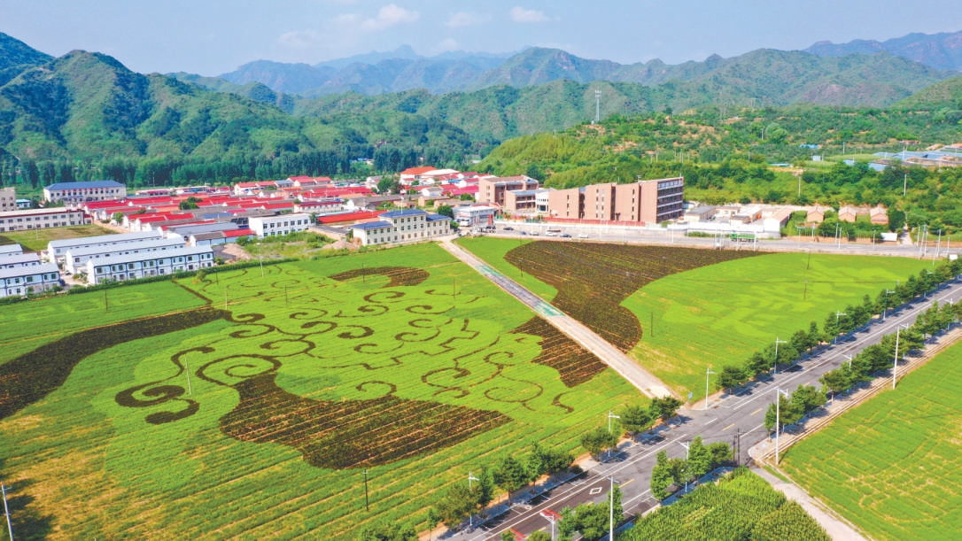 稻田画激活乡村旅游潜力