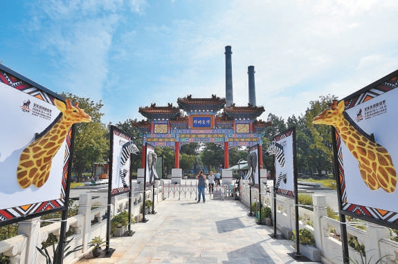 8月30日，在首钢群明湖的湖心岛景区，“行走的非洲”文化旅游体验季正在布展。