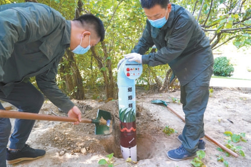 锦秋家园小区里，工作人员安放蚯蚓塔。