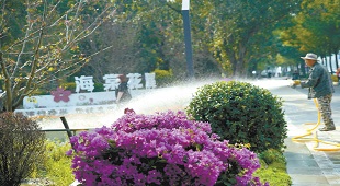 52处公园“拆栏透绿”融入城市 52处公园“拆栏透绿”融入城市