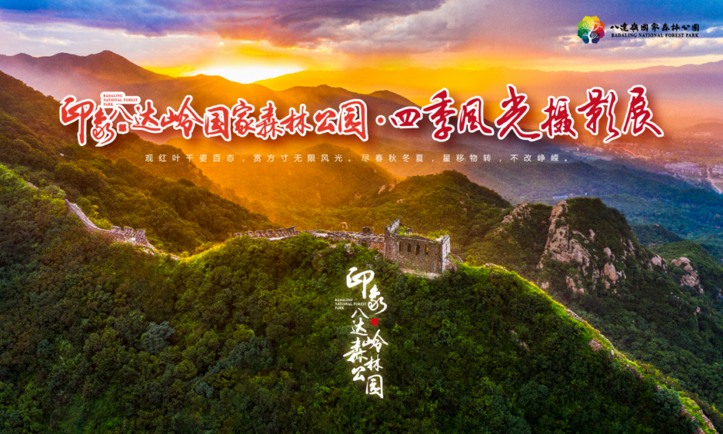 魅力八达岭 片片红叶情——八达岭国家森林公园第十六届红叶生态文化节即将拉开序幕