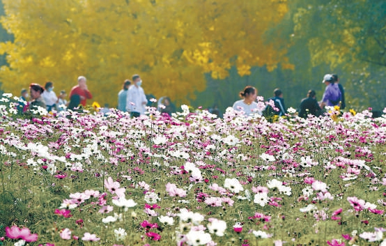 奥森花海 添彩秋色.jpg