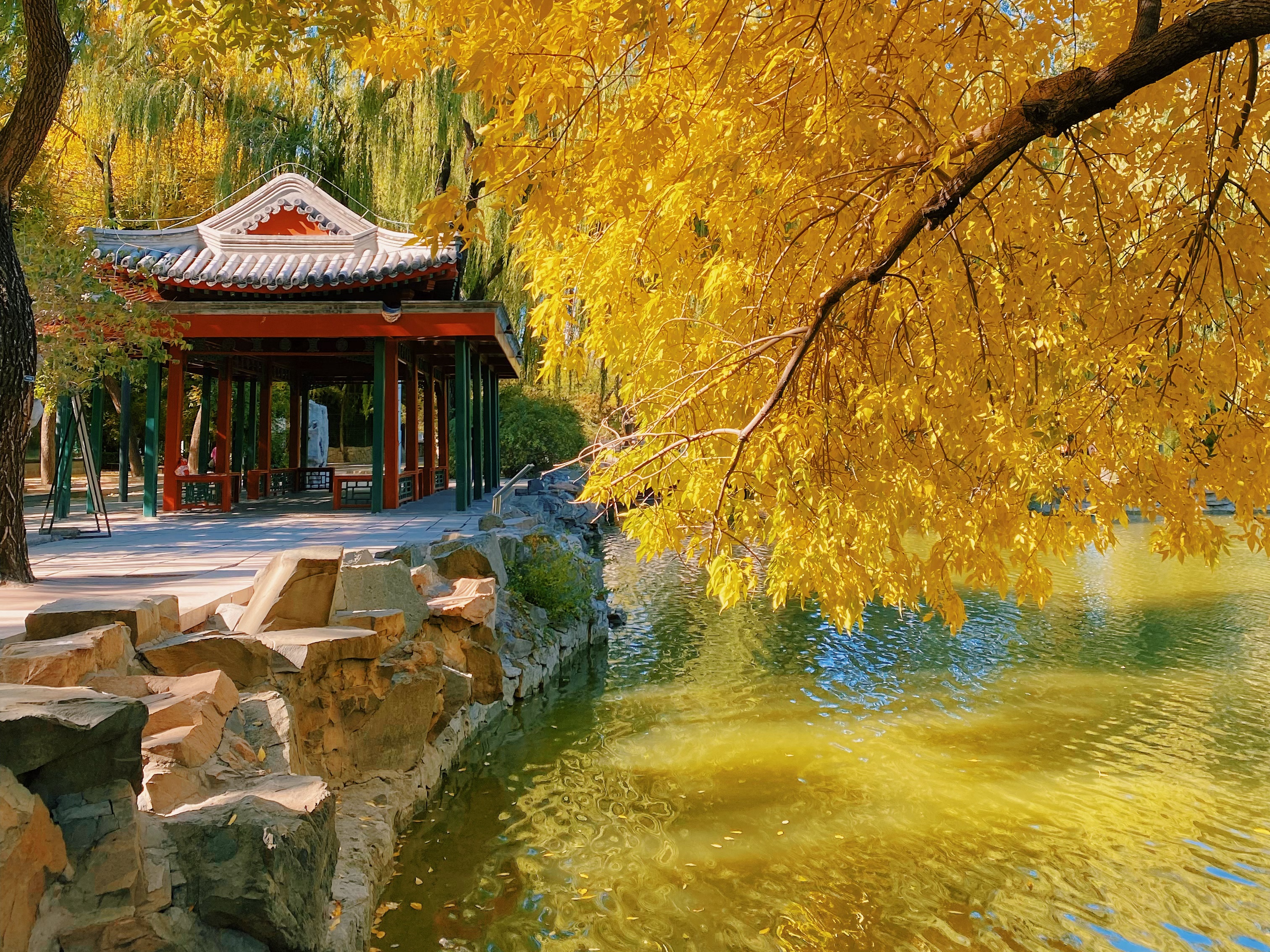 这个秋天 北京市属公园30处彩叶观赏地斑斓成景