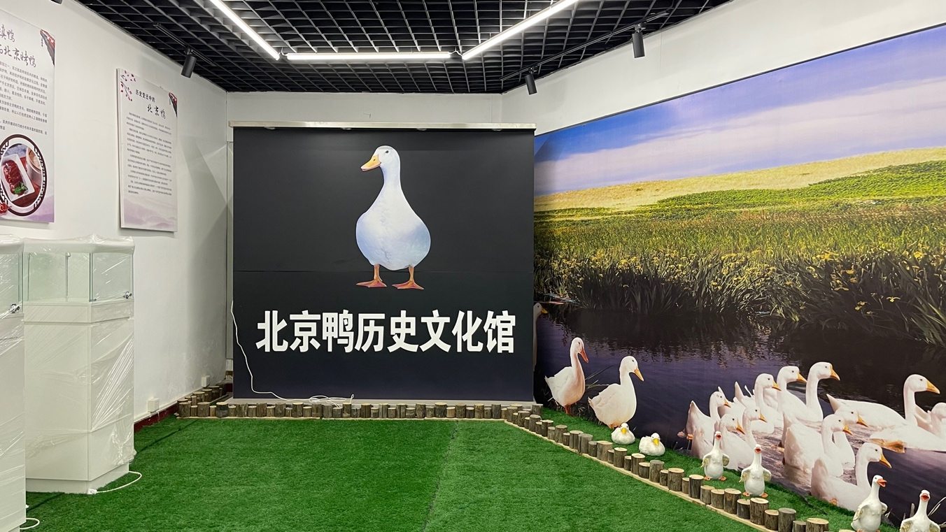 北京鸭历史文化馆落户顺义前鲁鸭场