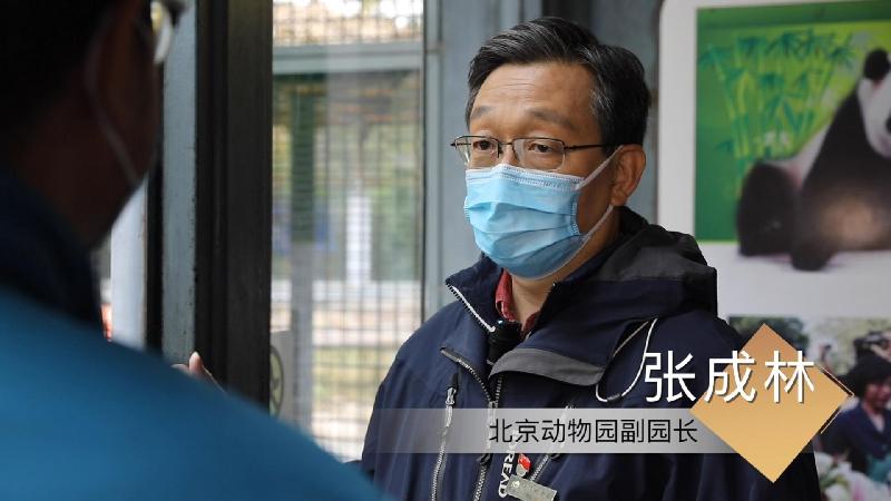 北京动物园负责科普教育的主管副园长张成林