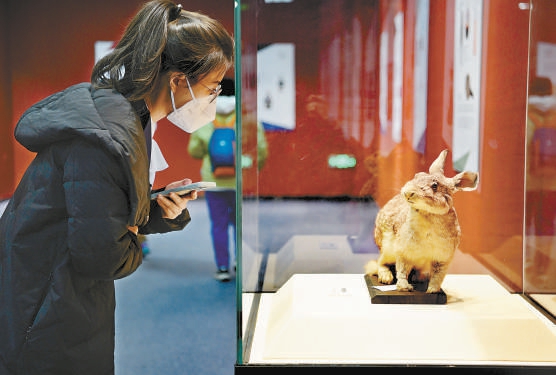 “大展宏‘兔’——癸卯（兔年）新春生肖文物图片联展”在北京自然博物馆开展。展览介绍了生肖的起源、自然生态中的兔、历史文化中的兔和民俗文化中的兔。