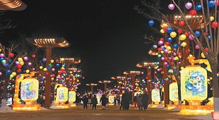 3900盏花灯点亮世园公园 3900盏花灯点亮世园公园