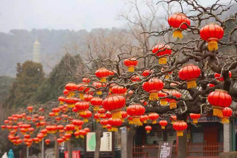迎春纳福活动