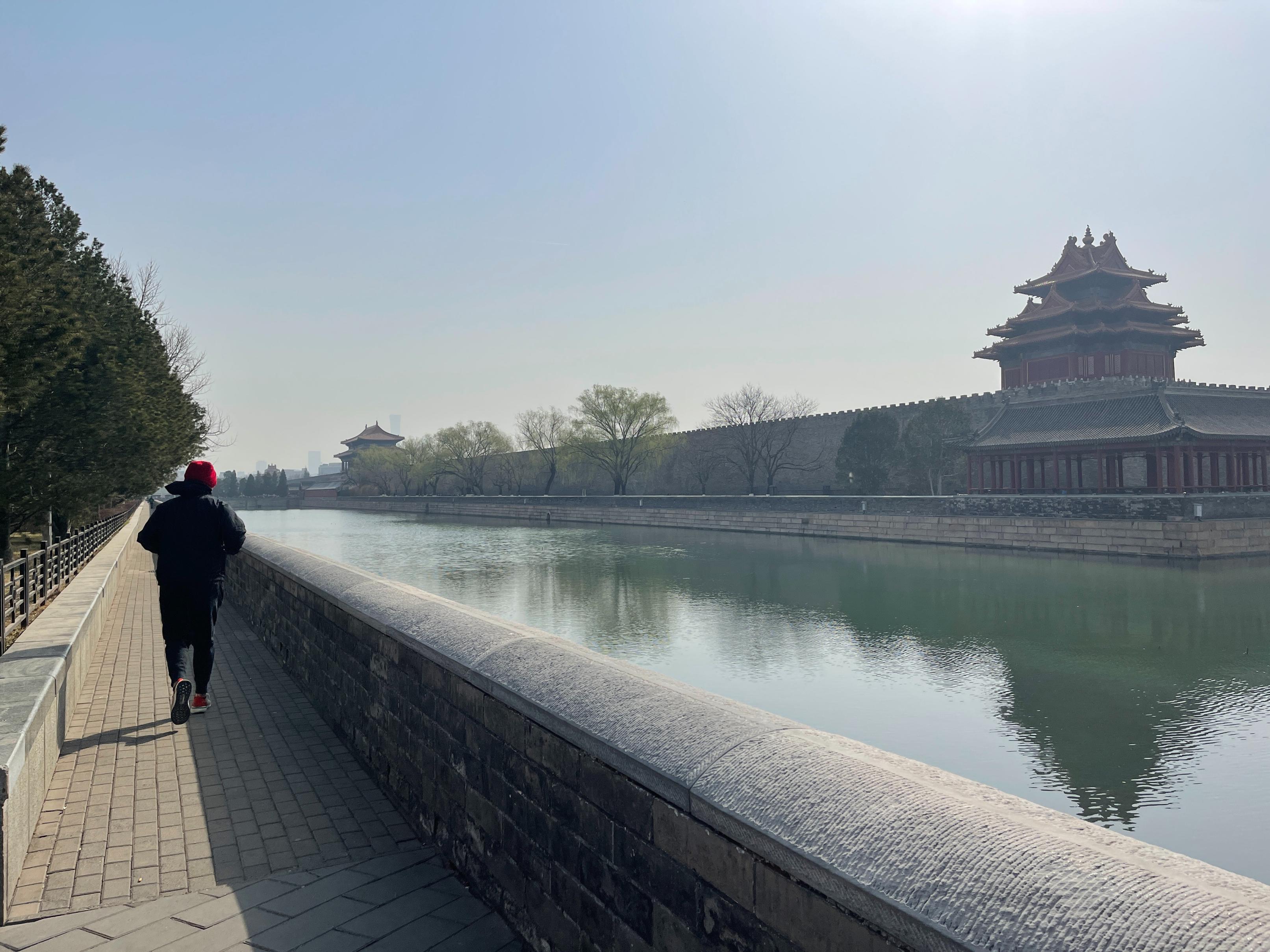 最是一年春好处  “故宫跑” 赏玉兰