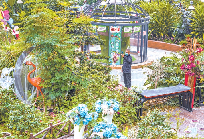 北京国际鲜花港温室内，植物茂盛、鲜花盛开，吸引不少游人来此观赏。